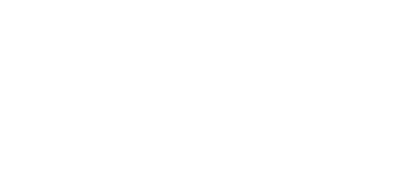 NanoSmart